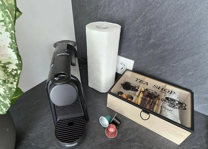 Tabacariei 5a Apartman Konstanca