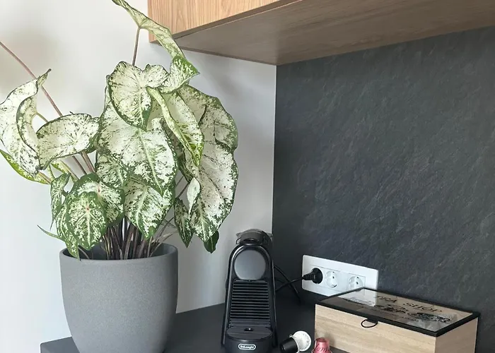 Tabacariei 5a Apartman *