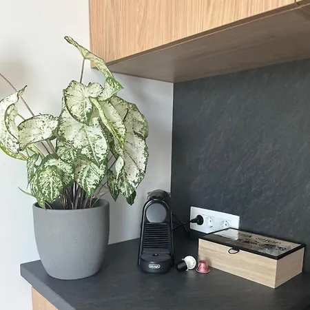 Tabacariei 5a Apartment *